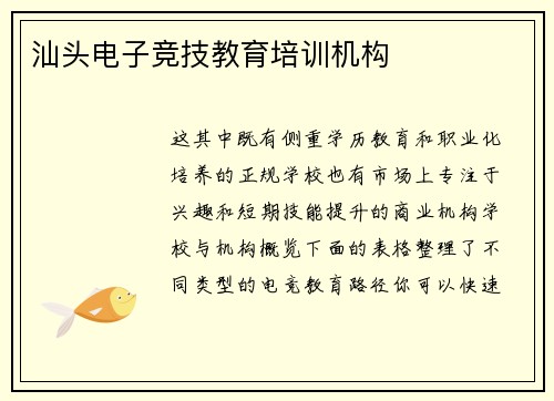 汕头电子竞技教育培训机构